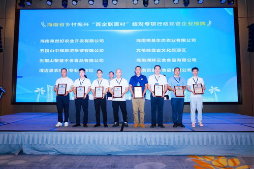 政企村協同共建，海南專項行動引領鄉村振興新篇章——陵水現場會圓滿召開